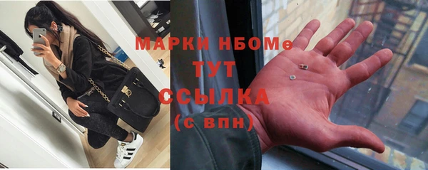 индика Алзамай