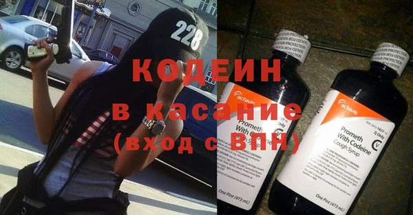 индика Алзамай