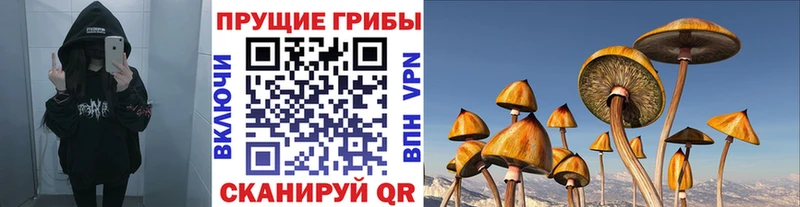 сколько стоит  Ветлуга  kraken вход  Галлюциногенные грибы ЛСД 