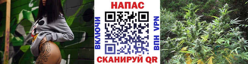 мега зеркало  Ветлуга  Бошки Шишки THC 21% 